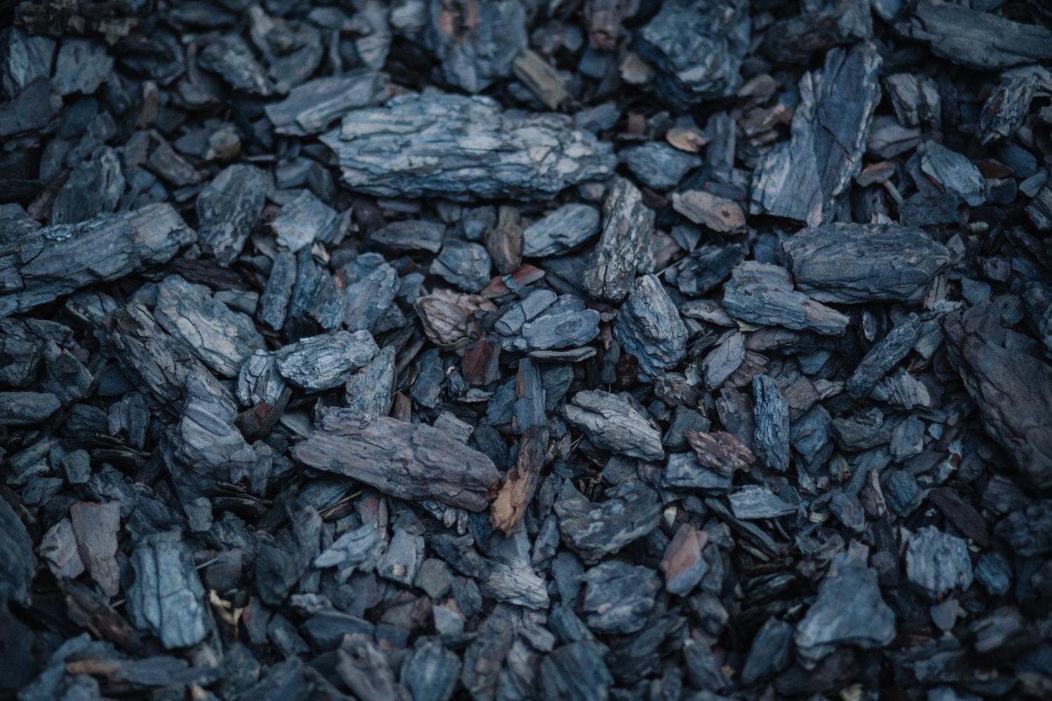 Coal renewable discount